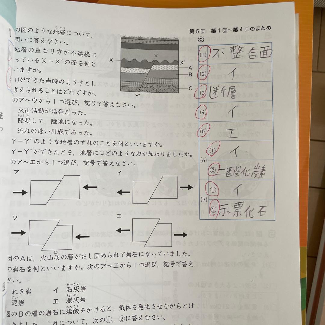 中学受験 新演習 小5 テキスト上下19冊まとめ売り