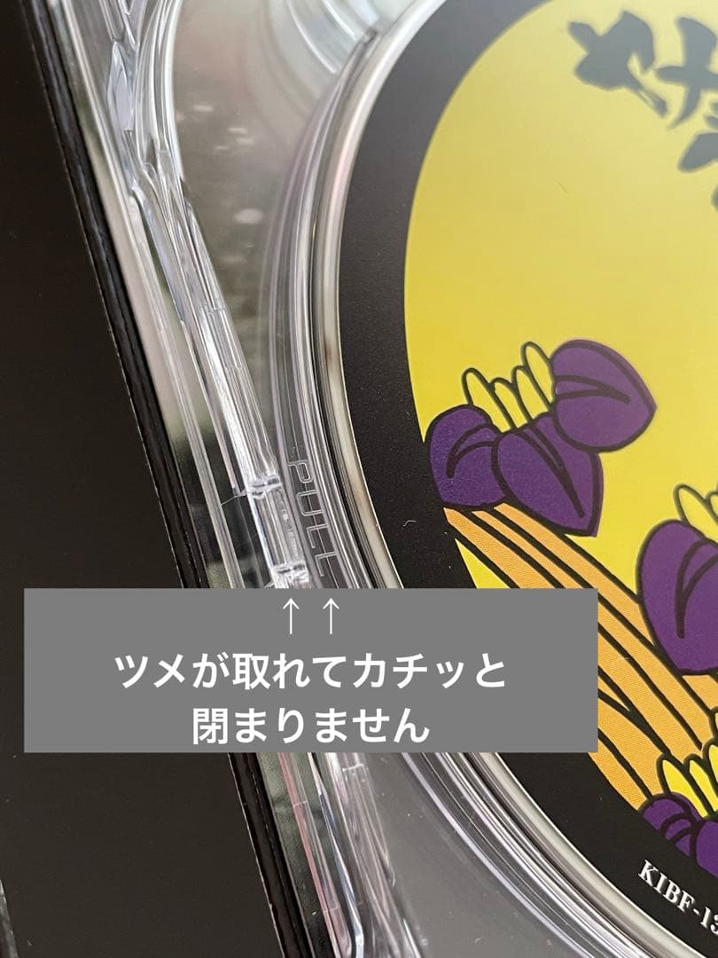 中古DVDBOX ヤメゴク〜ヤクザやめて頂きます〜 テレビドラマ　大島優子
