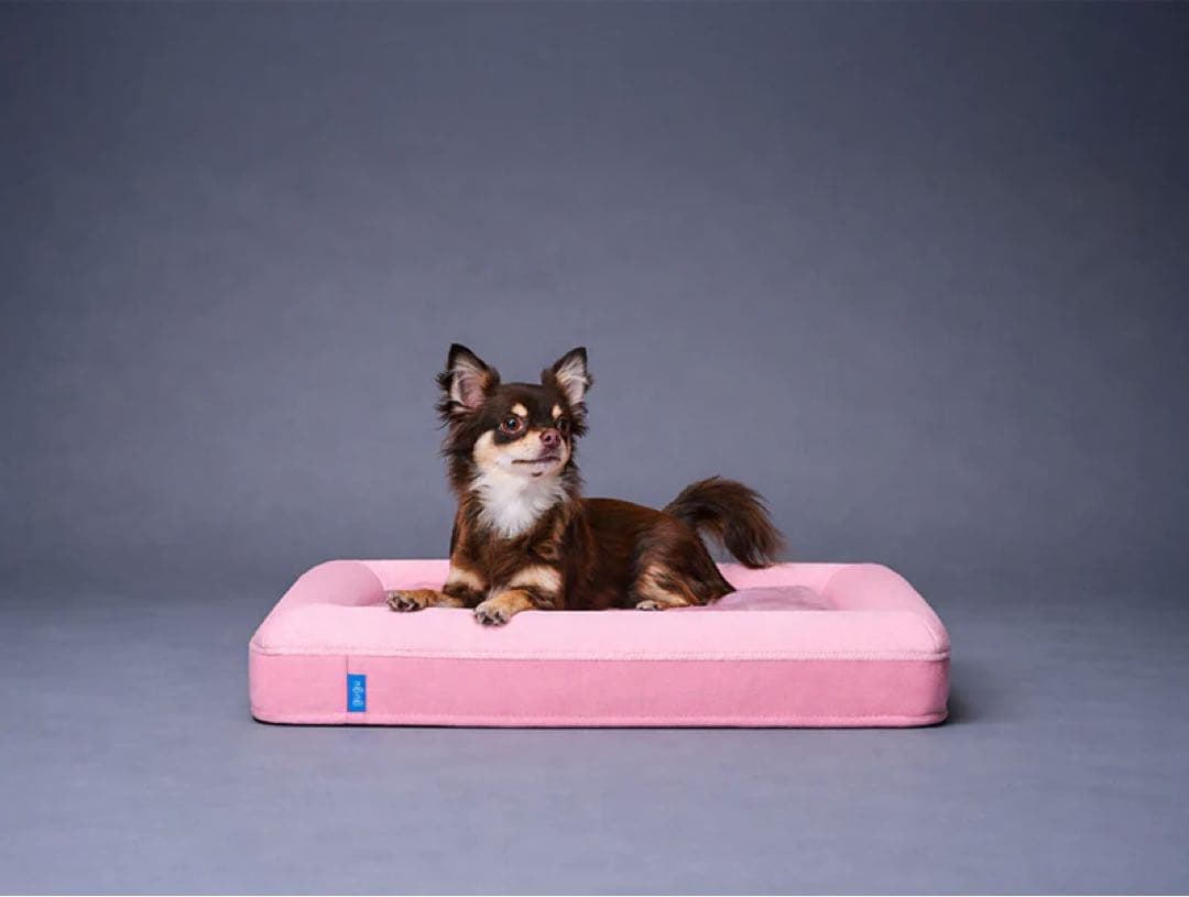 guguドギー 犬用ベッド