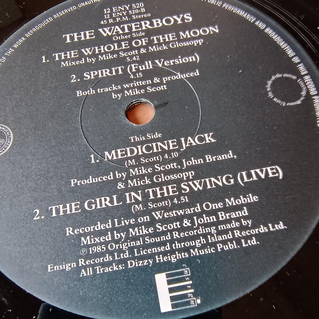 洋楽 THE WHOLE OF THE MOON 12\"/THE WATER BOYS