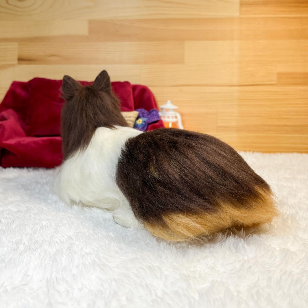 さらです