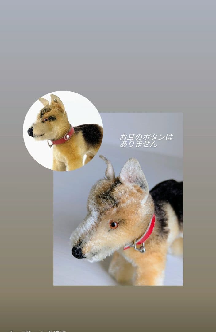 シュタイフ　シェパード　ビンテージ