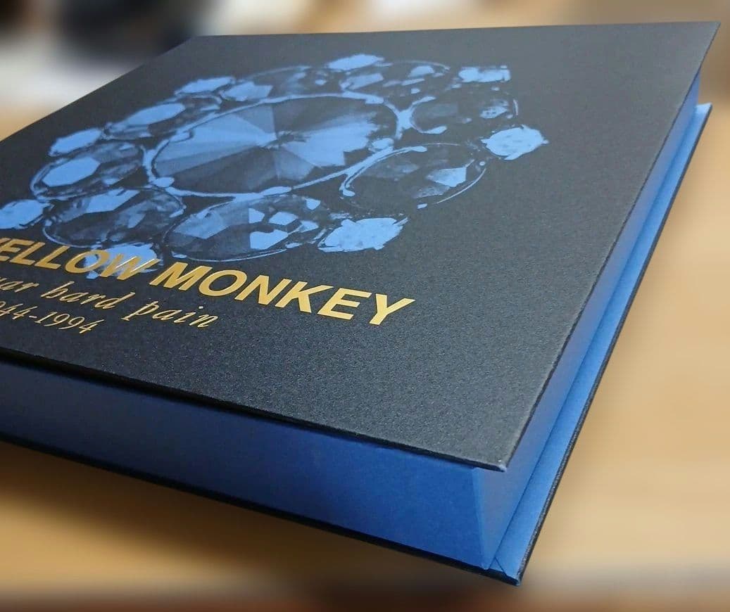 邦楽 THE YELLOW MONKEY jaguar hard pain