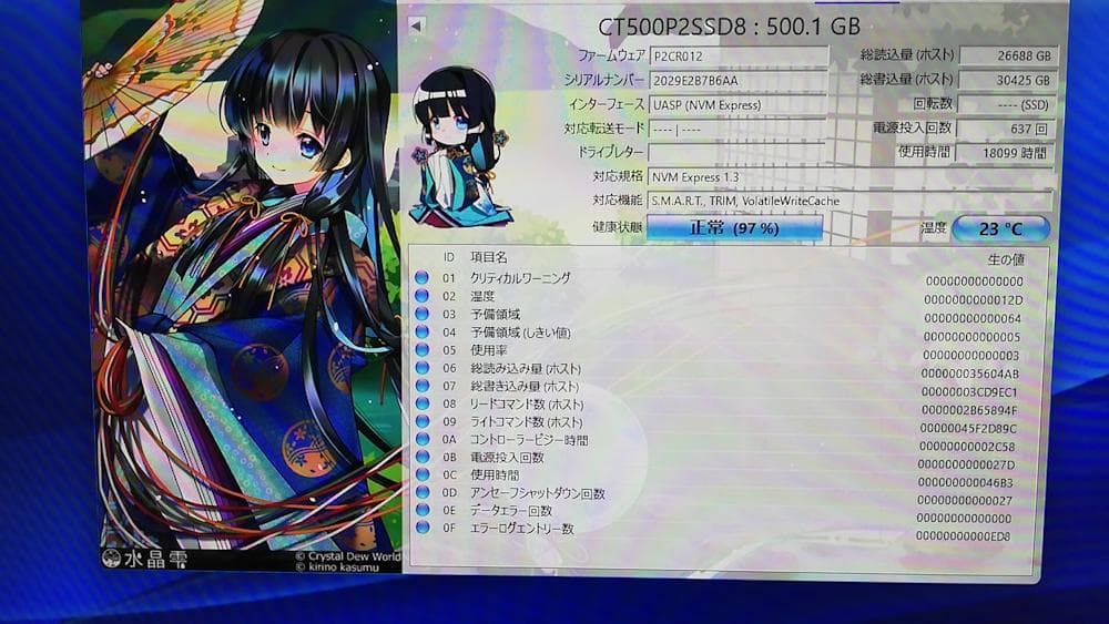 Crucial P2 M.2 2280 500GB SSD 2枚組