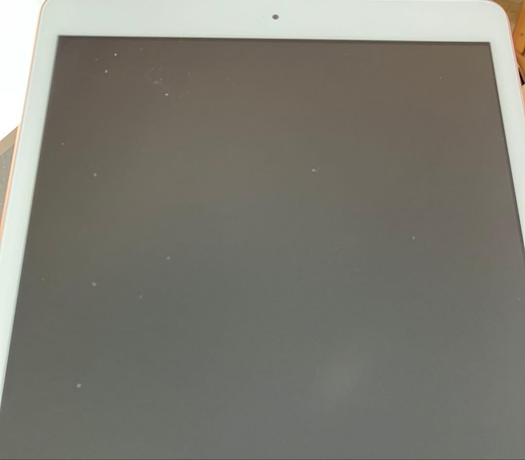 【即購入OK】iPad 第8世代 セルラーモデル【極美品】 #116 【付属品】