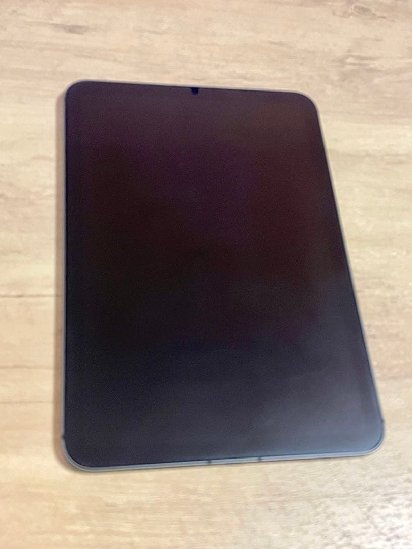 iPad mini6 256GB wifi+cellular 美品！