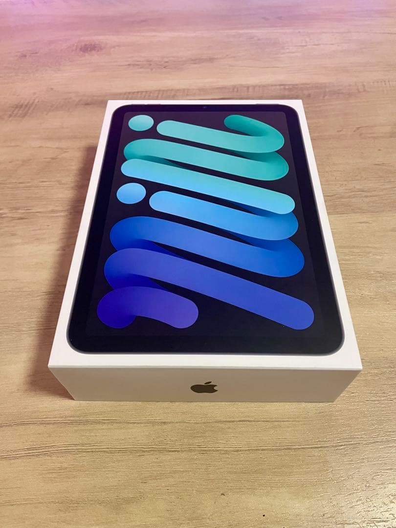 iPad mini6 256GB wifi+cellular 美品！