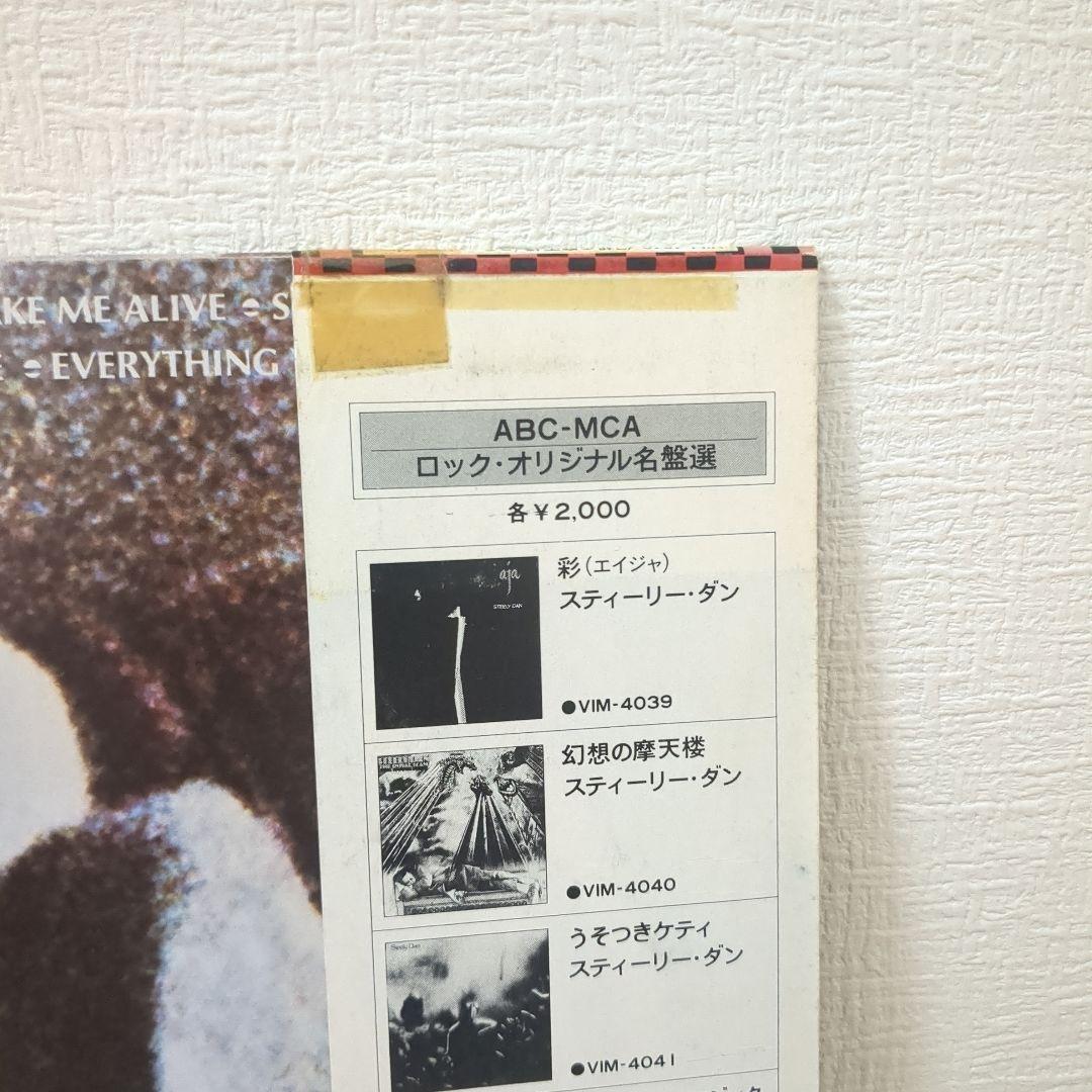 幻想の摩天楼 STEELY DAN スティーリーダン レコード VIM-4040