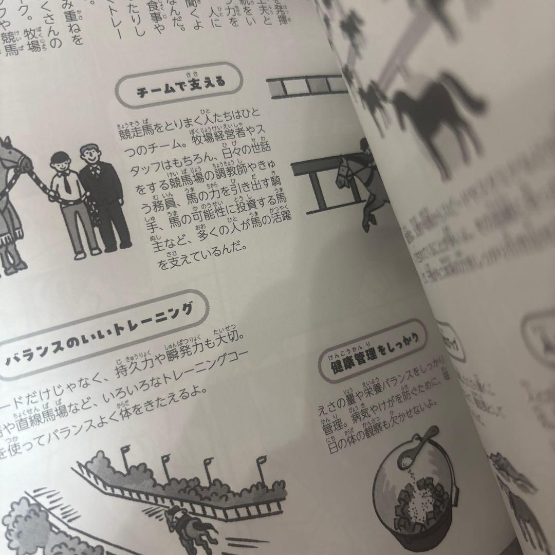 競走馬のふるさとのひみつ