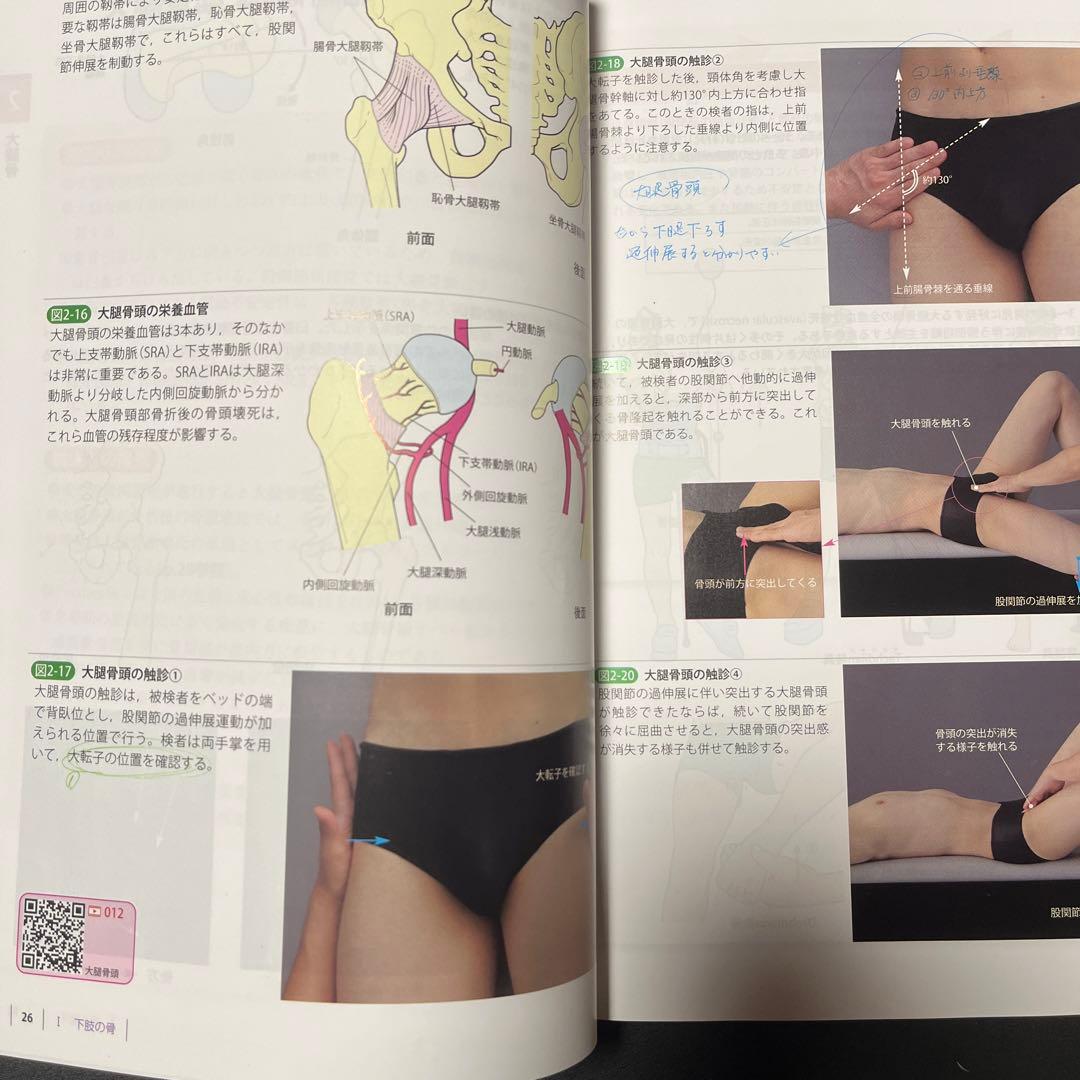 機能解剖学的触診技術 上下肢・体幹 理学療法テキスト 日常生活活動学 3冊セット