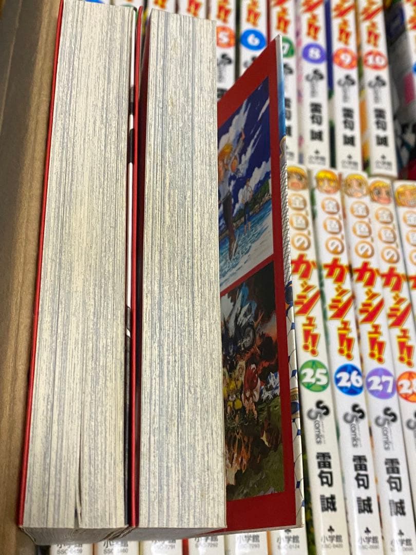 金色のガッシュ 単行本 文庫本 映画 パンフレット セット