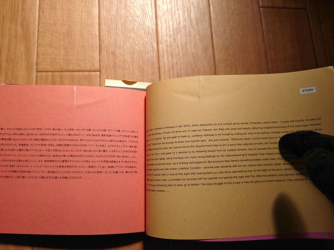 THE VIRGIN SUICIDES PHOTO BOOK デットストック品