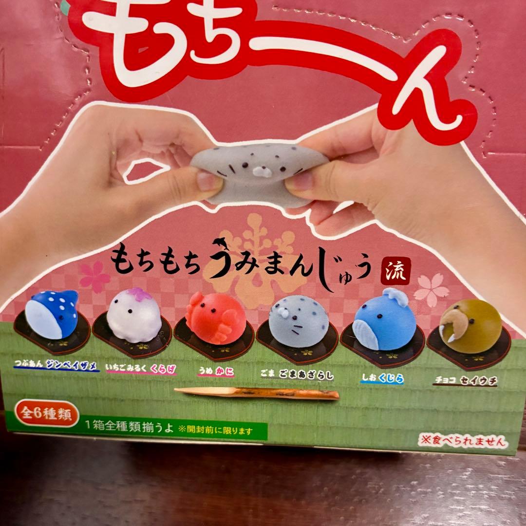 もちもち うみまんじゅう流 6個入りBOX x 4セット