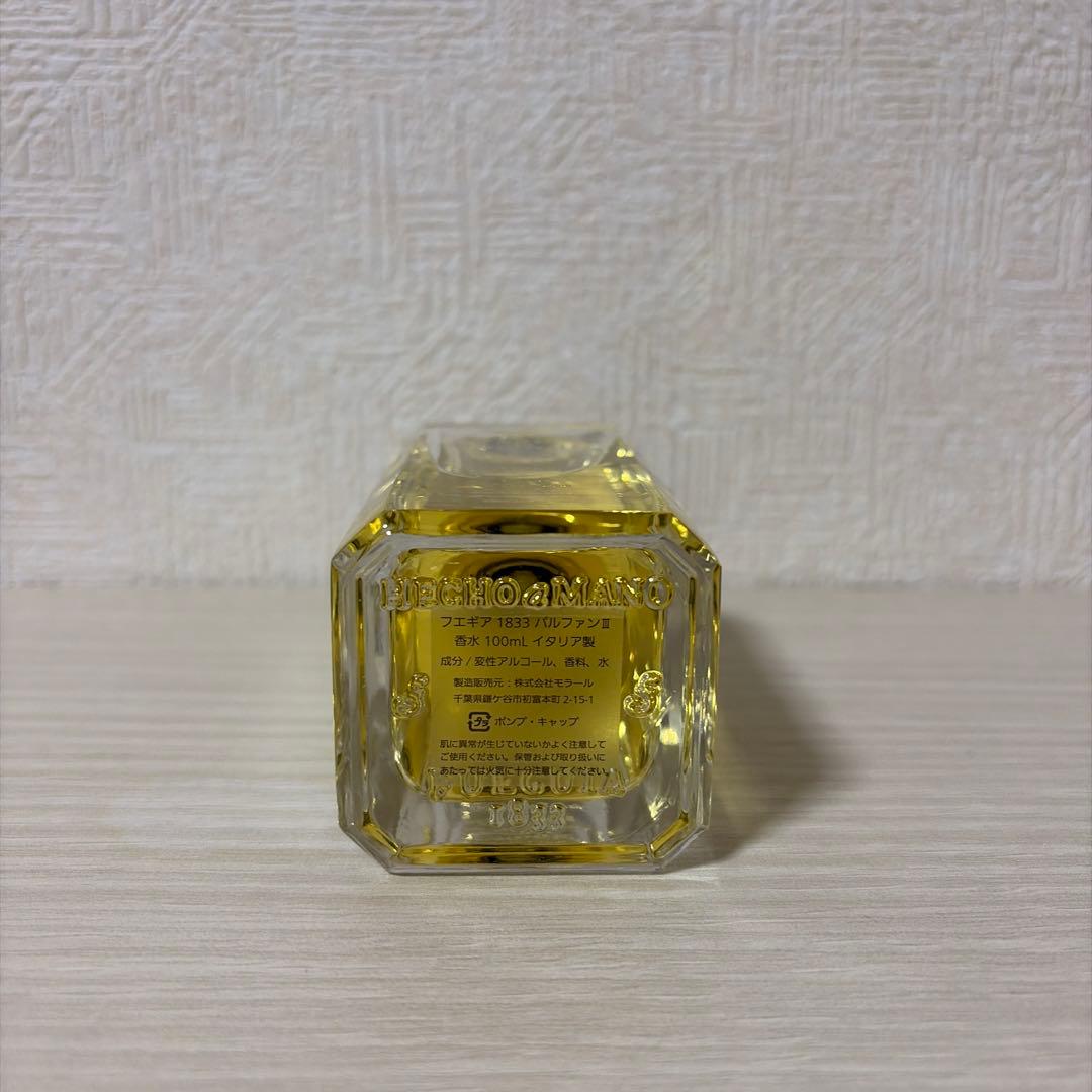 フエギア アンバルデロスアンデス 100ml