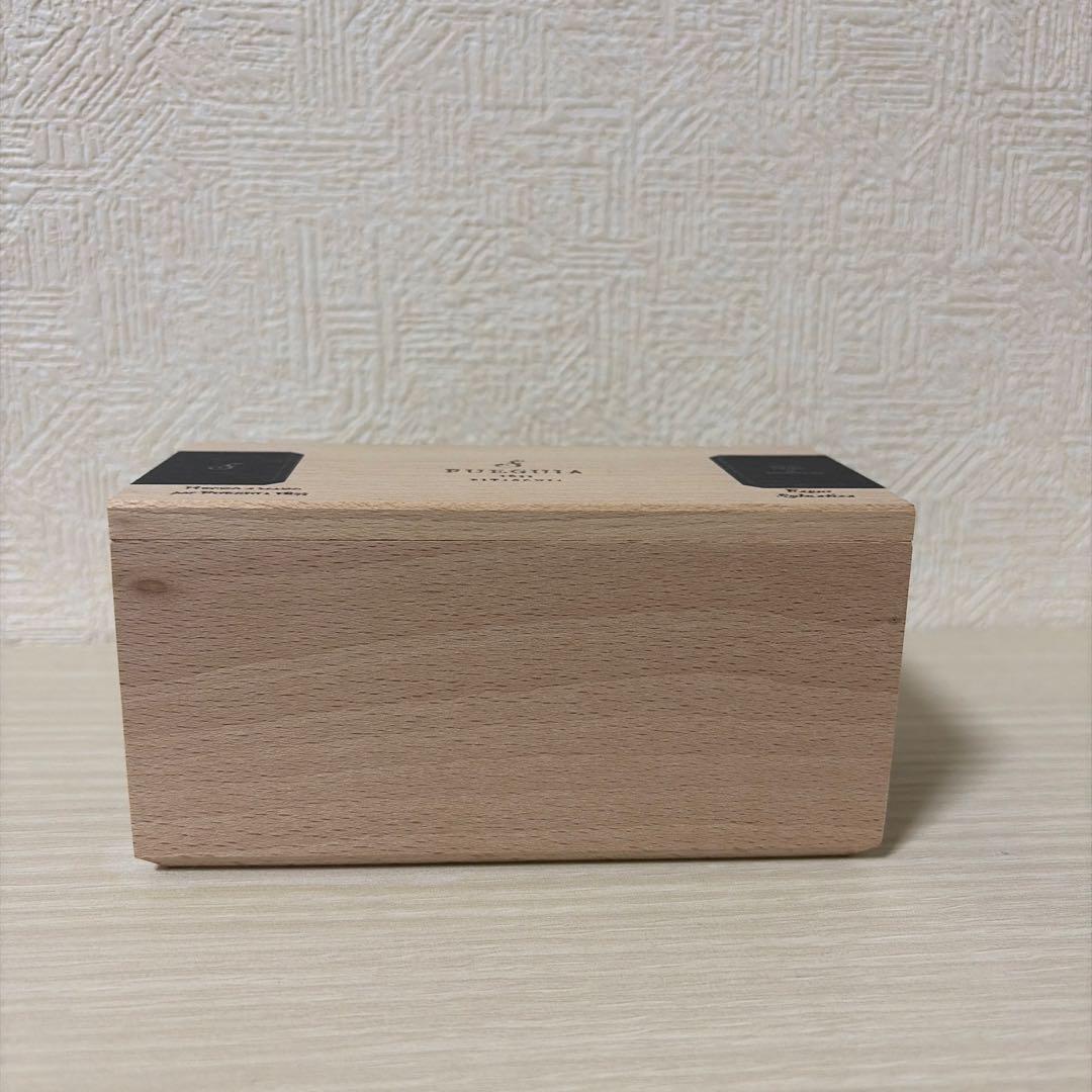 フエギア アンバルデロスアンデス 100ml