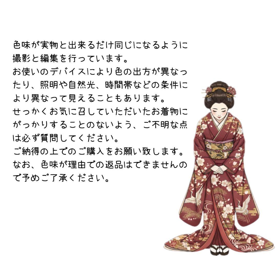 美品　振袖5点セット　正絹　古典柄　牡丹　成人式　159〜165cm