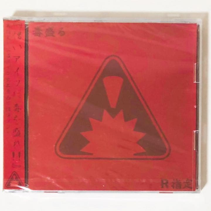V系★R15★R指定★CD＋DVD★9点セット【2】