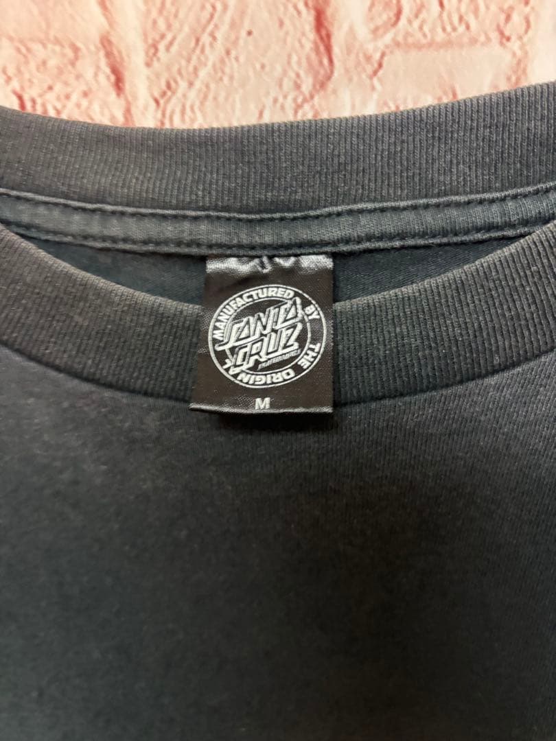 【希少】SANTA CRUZ サンタクルーズ サルバタイガー Tシャツ M 黒