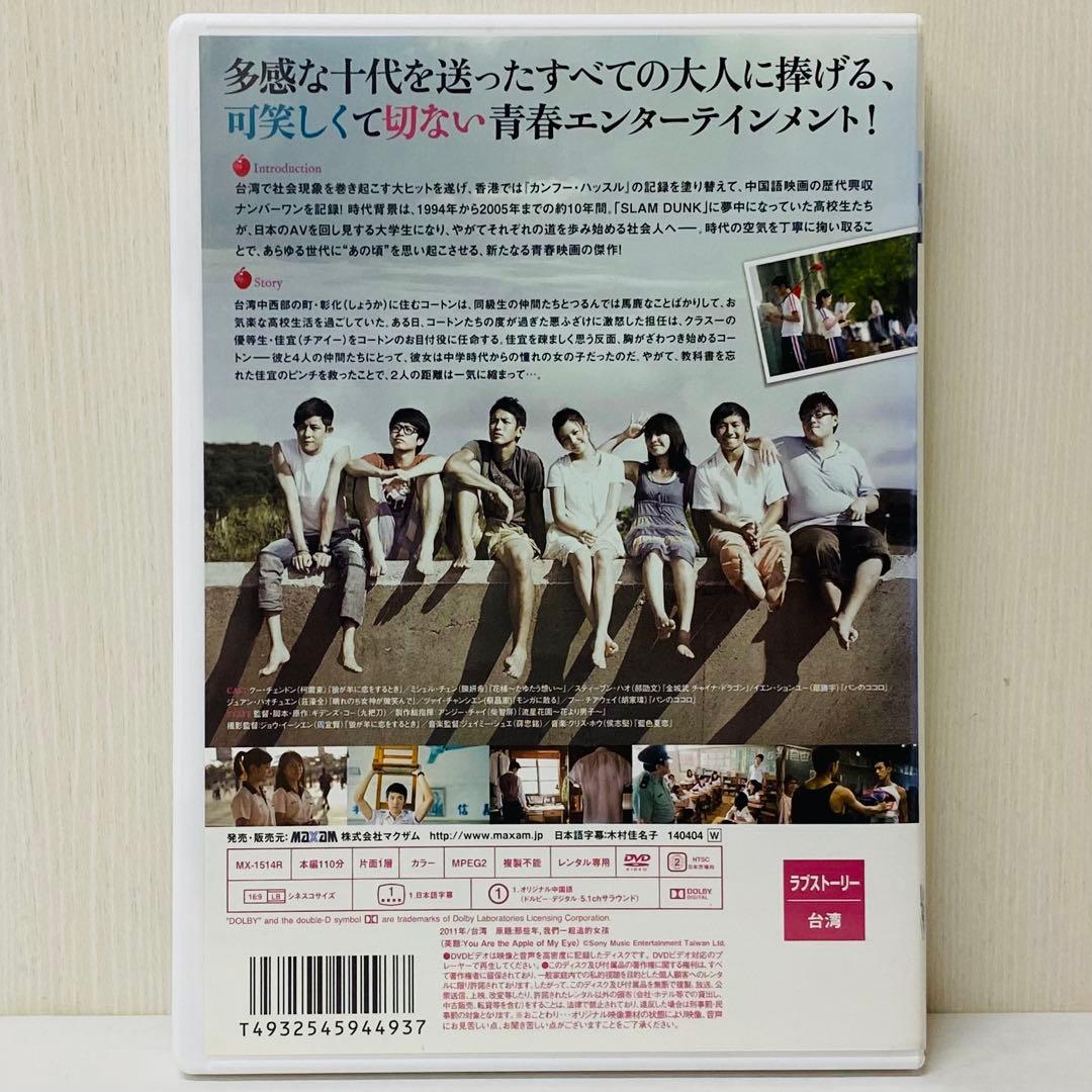 【新品ケース】DVD　あの頃、君を追いかけた (那些年，我們一起追的女孩) 台湾