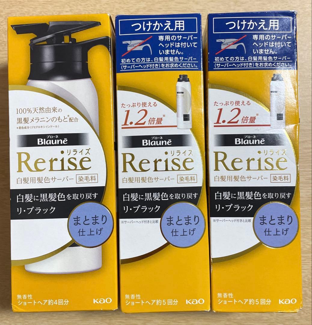 リライズ 白髪用髪色サーバー リ・ブラックまとまり仕上げ本体2本替え用1箱セット