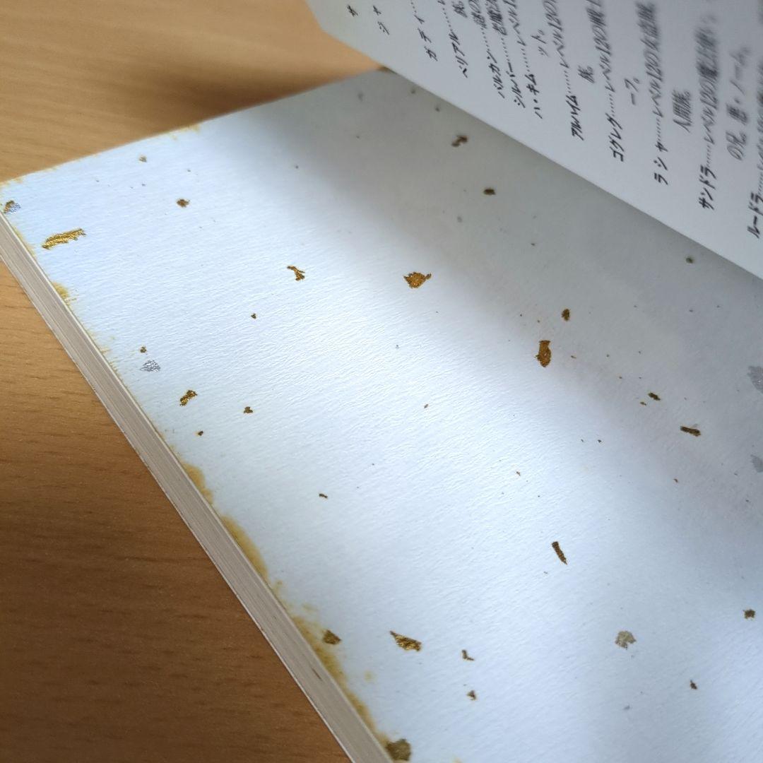 小説ウィザードリィ　隣合わせの灰と青春