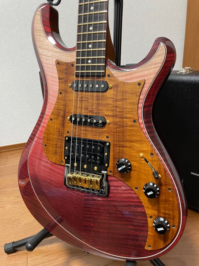 ギター Knaggs Guitars / Severn X