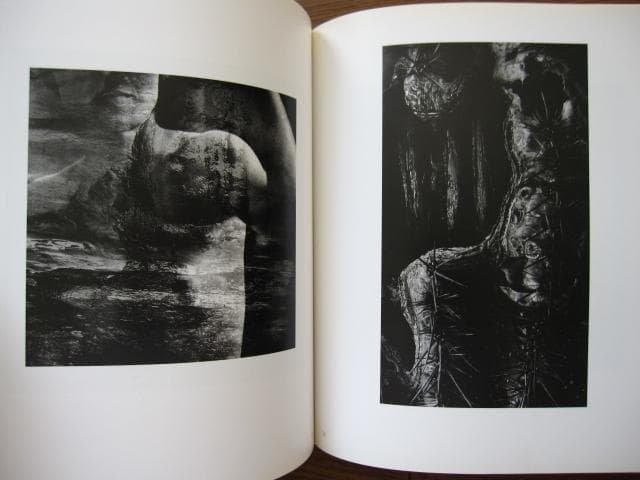 In the Nature of Things　Jack Stuler