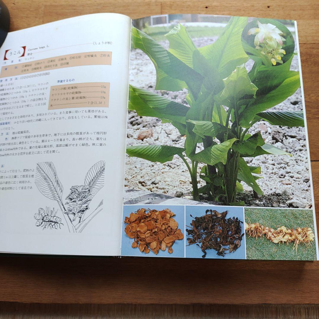 おきなわの薬草百科