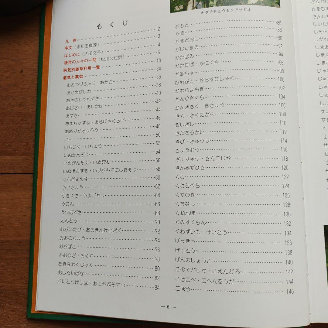 おきなわの薬草百科