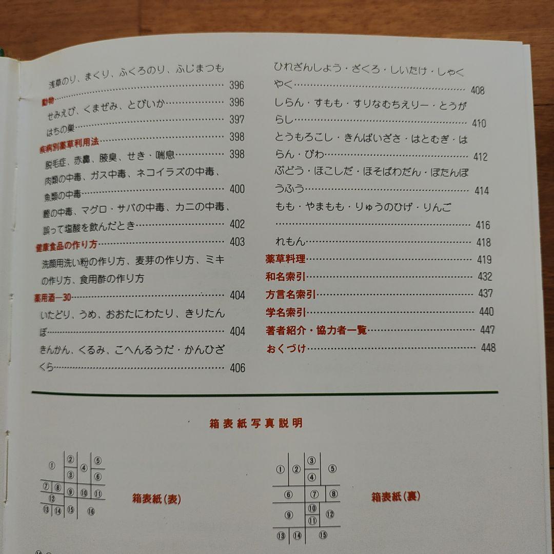 おきなわの薬草百科