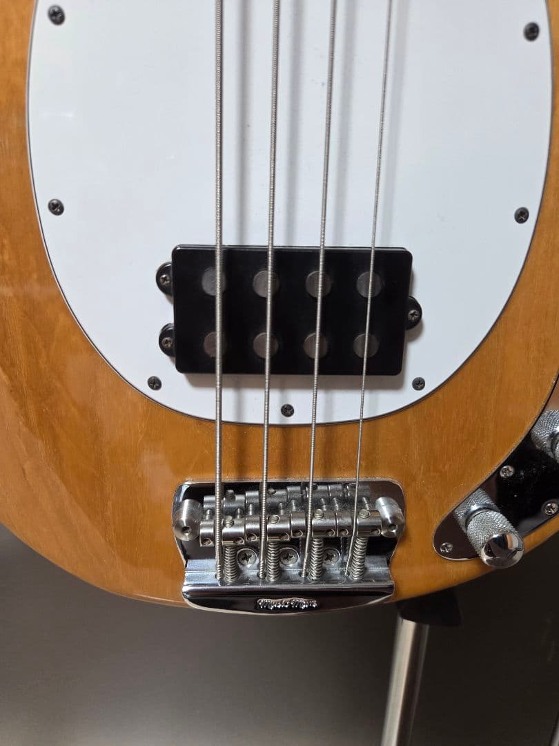 ザ*キ様 MUSIC MAN StingRay エレキベース