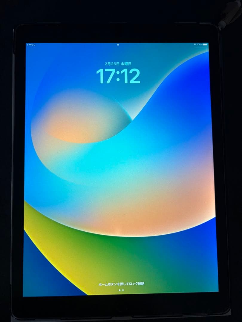 iPad Pro 12.9インチ Wi-Fi＋Cellula