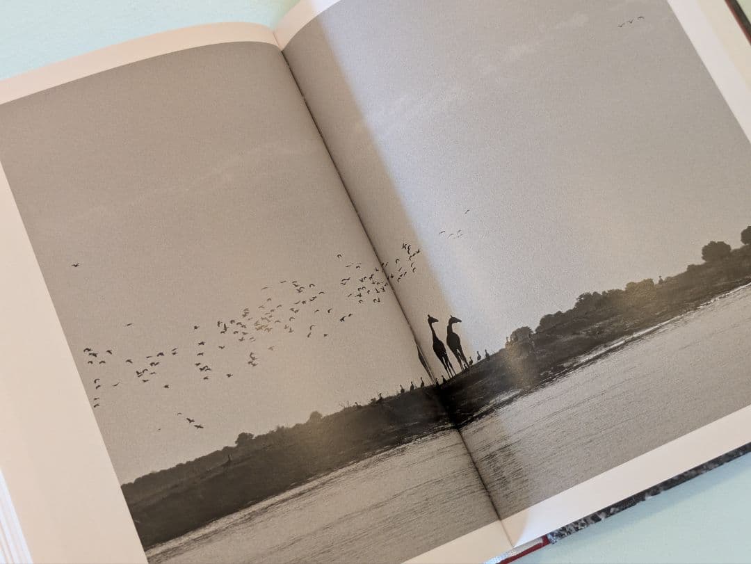 【新品】Sebastião Salgado Genesis サルガド ジェネシス