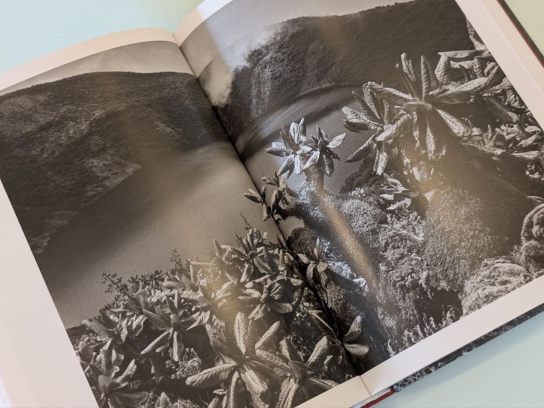 【新品】Sebastião Salgado Genesis サルガド ジェネシス