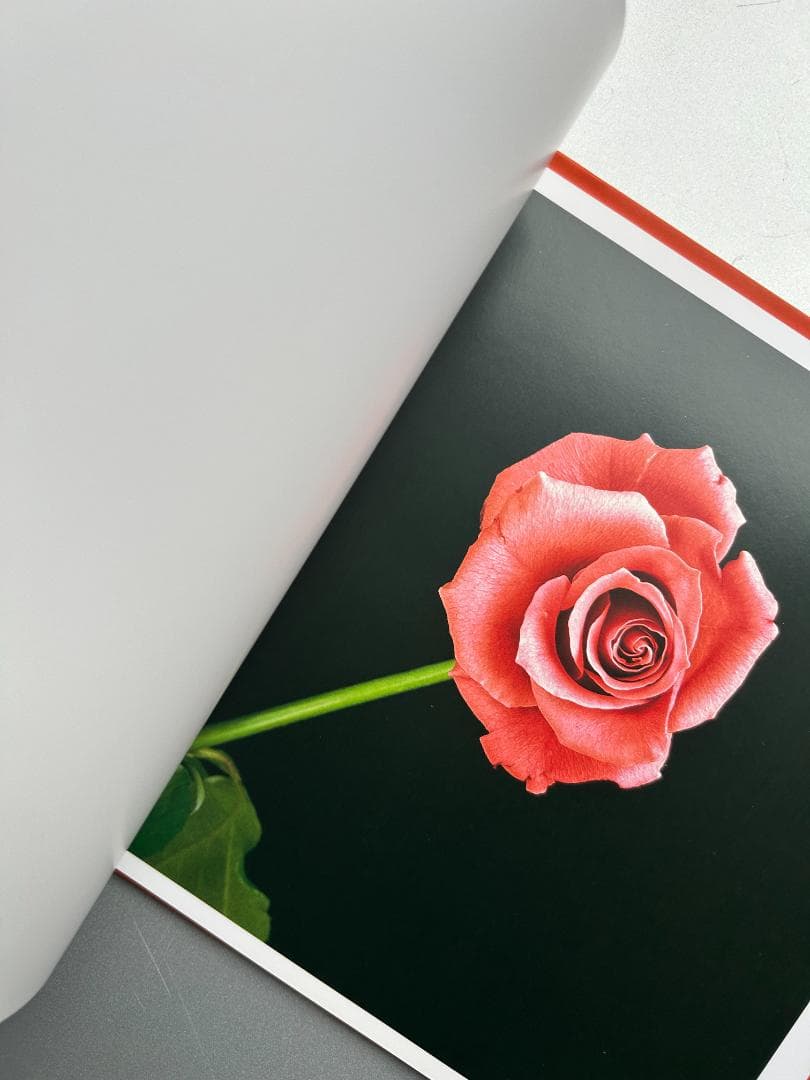 Mapplethorpe : The Complete Flowers 上田義彦