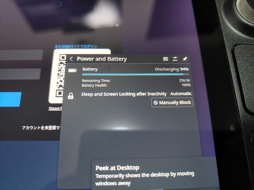 その他 Steamdeck LCD 256GB