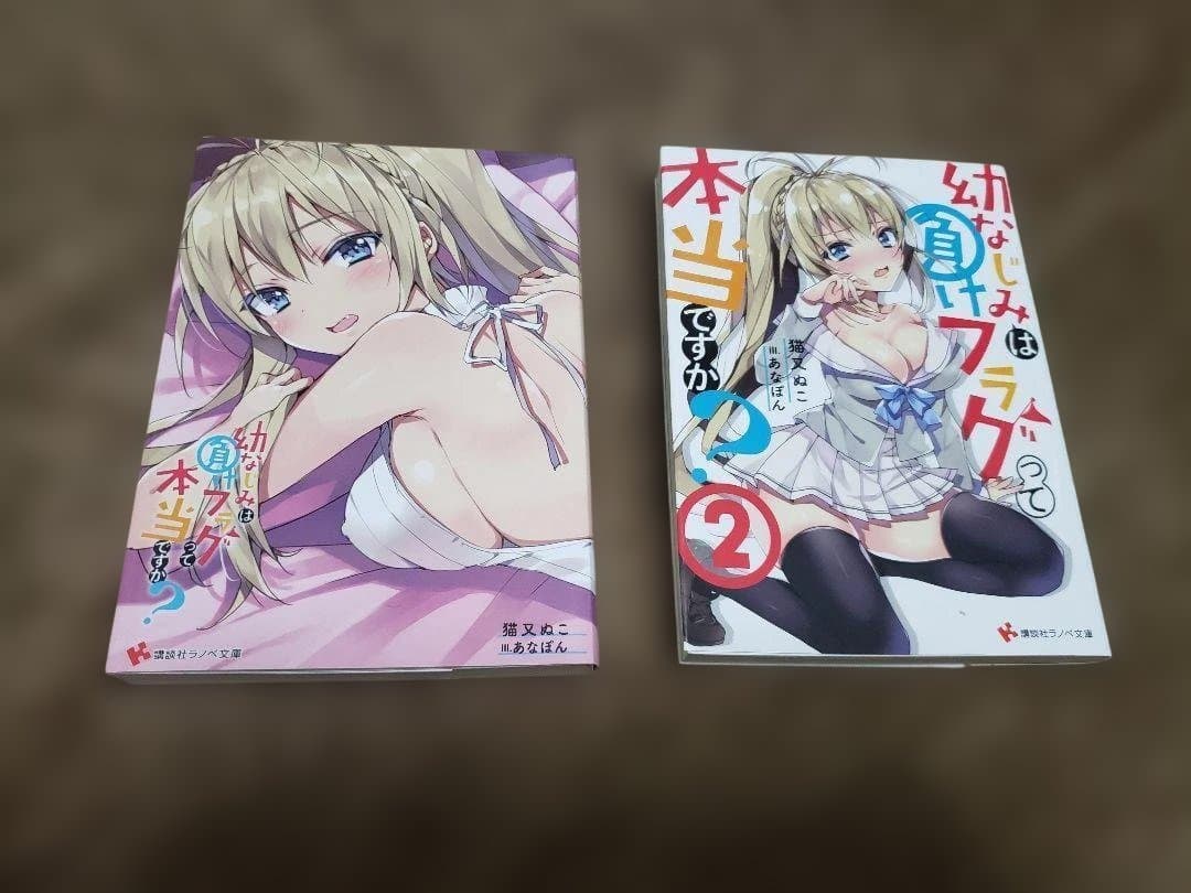 ★５００円クーポン利用ＯＫ★Ａ４サイズ・目安文庫本４冊・１０００円★全品は１万円