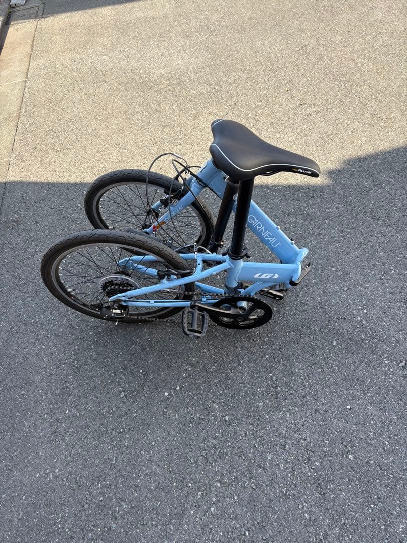 LOUIS GARNEAU（ルイガノ）EASEL6.0 20インチ
