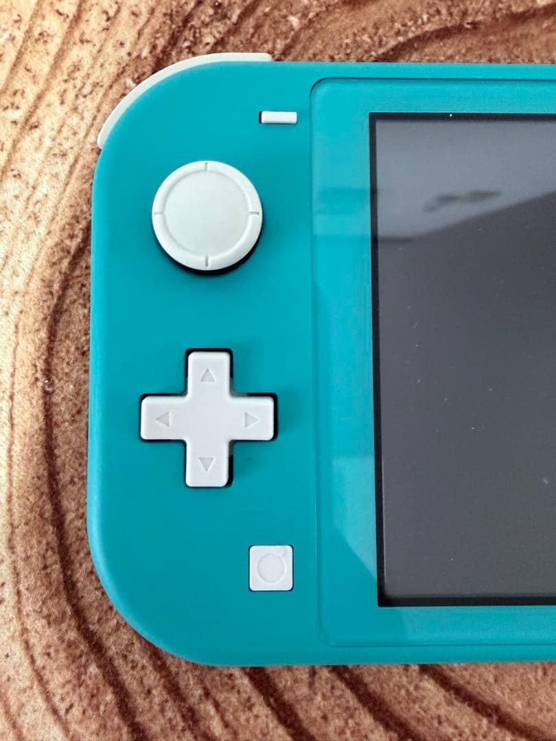 Nintendo Switch Lite ターコイズ本体のみ　箱無し