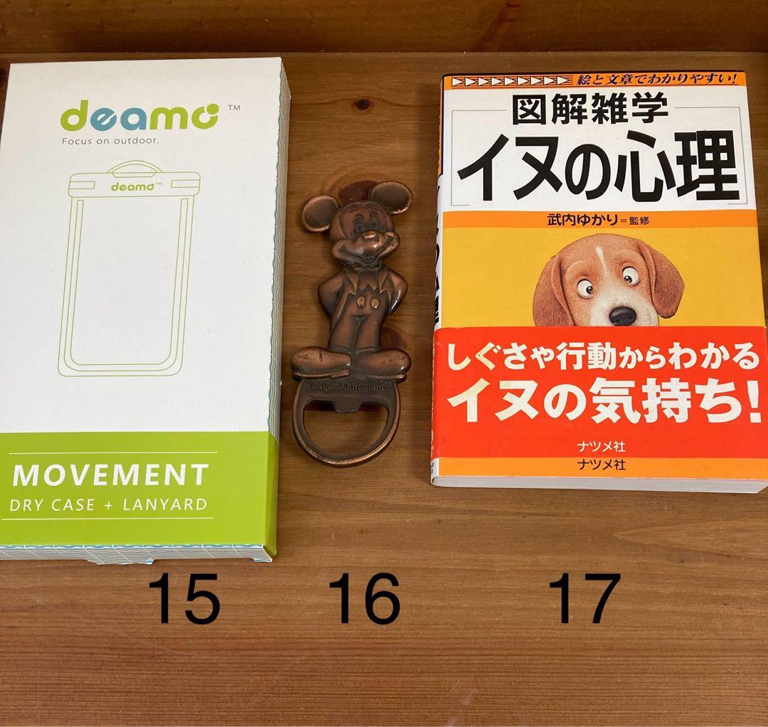 かをりんさまおまとめ　ミュージカル　ライオンキング　プログラム