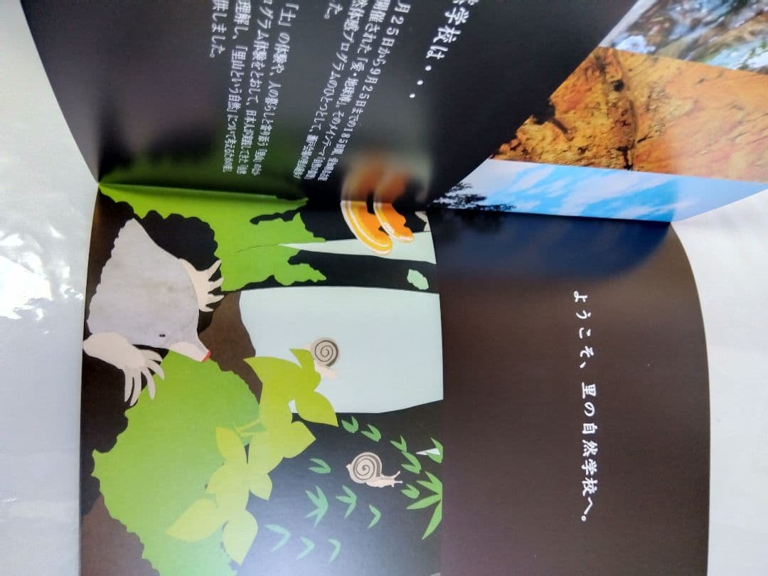きゅぴきゅぴ　愛・地球博公式記録集　自然学校冊子DVDまとめ