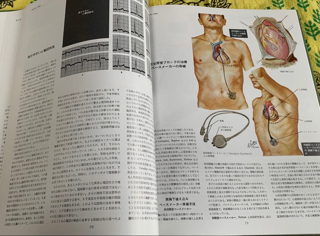 ⭐︎医学生理学図譜 心臓編 第5巻⭐︎