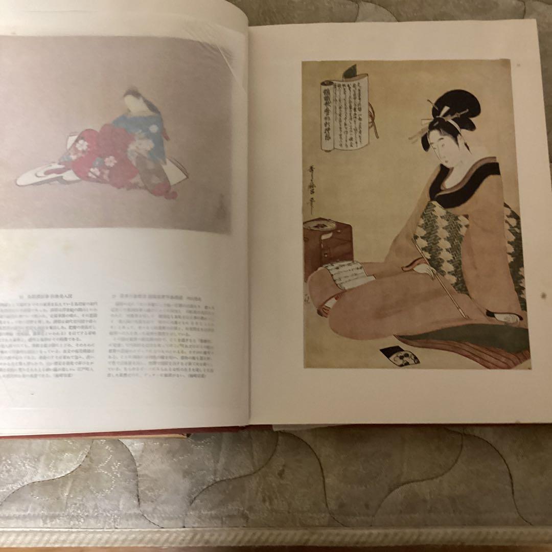 近世絵画　日本美術大系v 浅野長武監修　大塚巧藝写真　講談社写真部