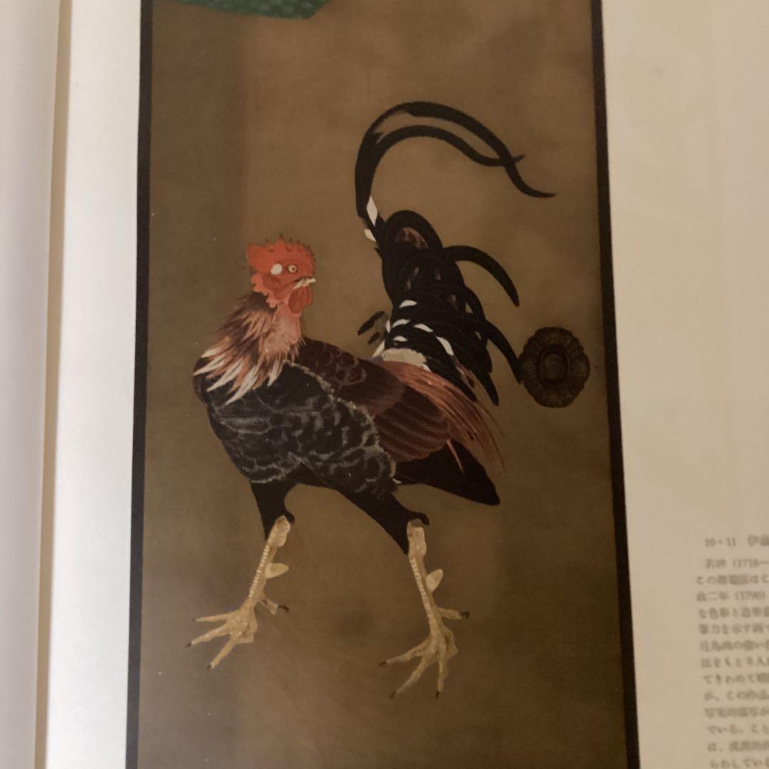 近世絵画　日本美術大系v 浅野長武監修　大塚巧藝写真　講談社写真部