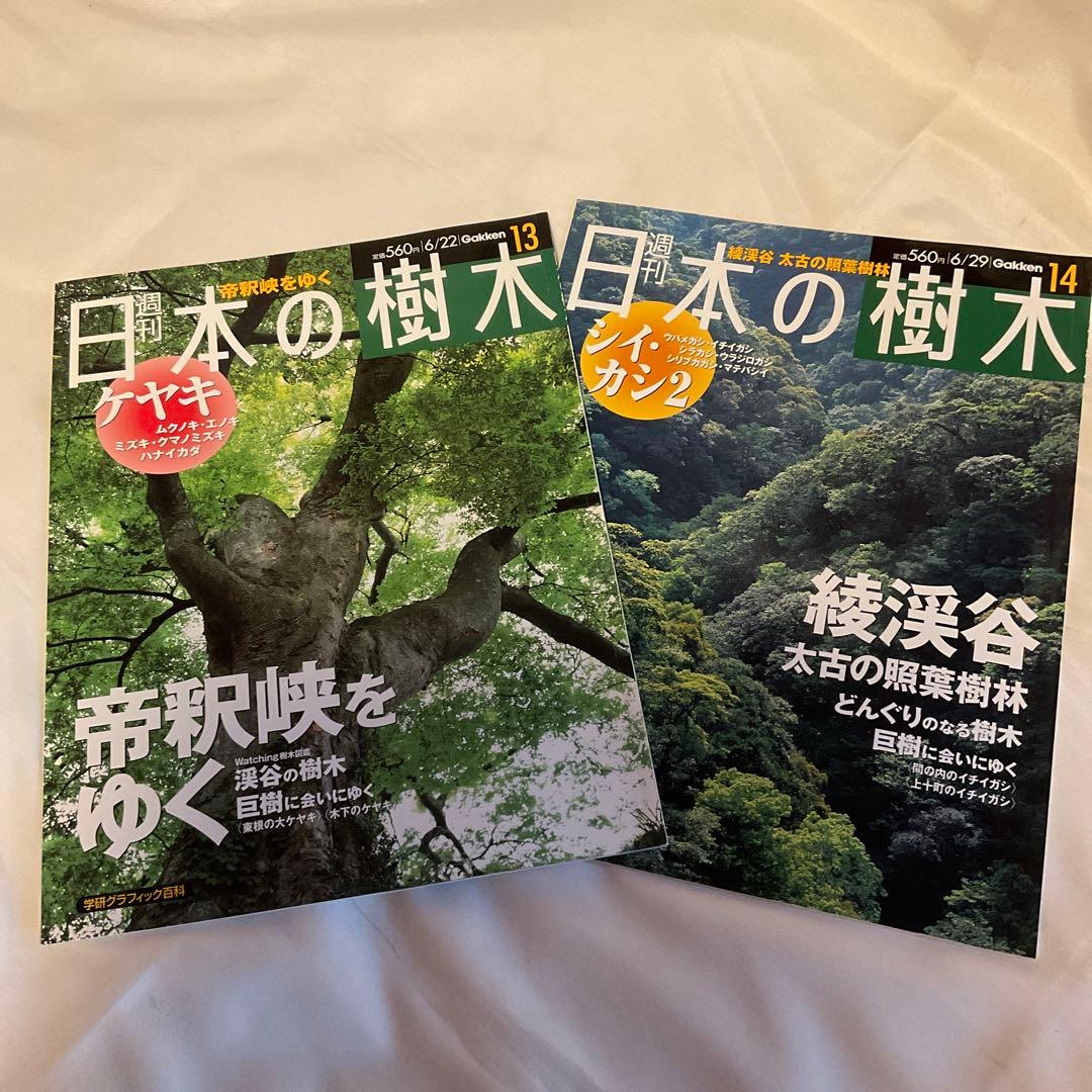 週刊 日本の樹木 25冊 学習研究社 （2004年発行）おまけ付き
