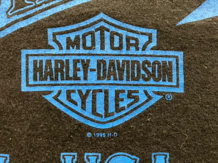 ハーレーダビッドソン　ヴィンテージ　Tシャツ　【希少シングルステッチ95年】