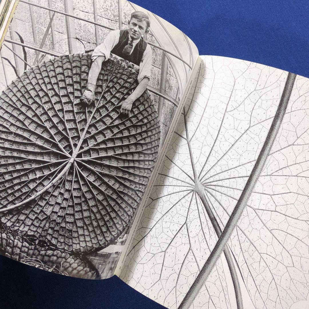 【図録】Botanical 植物を題材にしたジュエリー、写真等の写真集 ショーメ