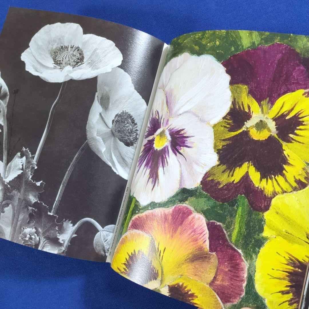 【図録】Botanical 植物を題材にしたジュエリー、写真等の写真集 ショーメ