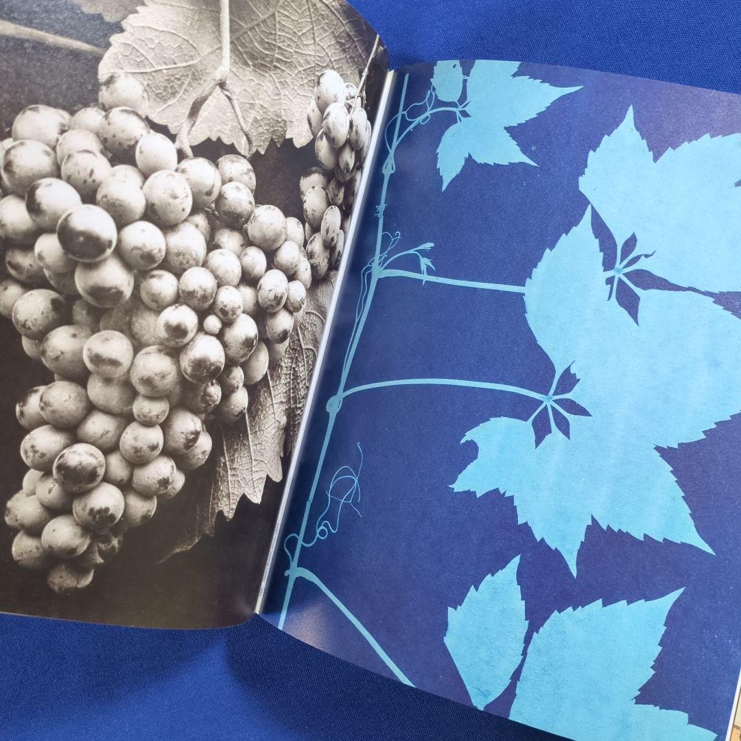 【図録】Botanical 植物を題材にしたジュエリー、写真等の写真集 ショーメ