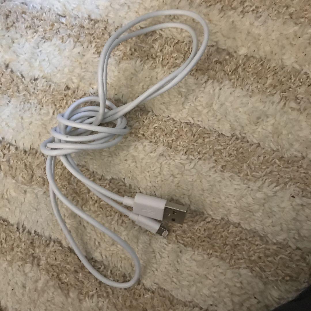 Apple iPhone イヤホン